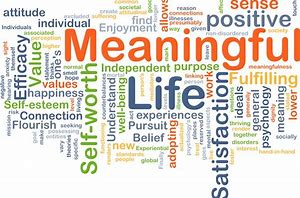 Image result for meaning of life is a meaningful life