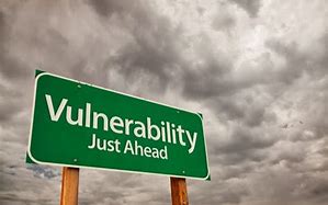 Image result for vulnerability not armor
