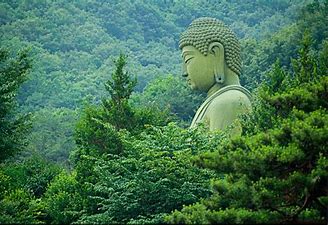 buddha nature